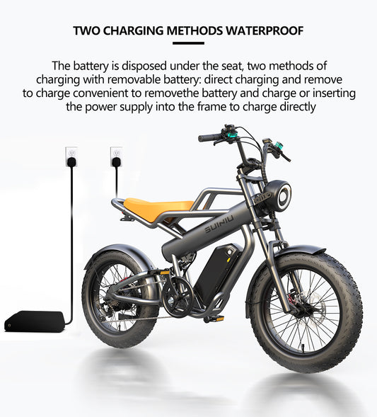 48V20AH external battery