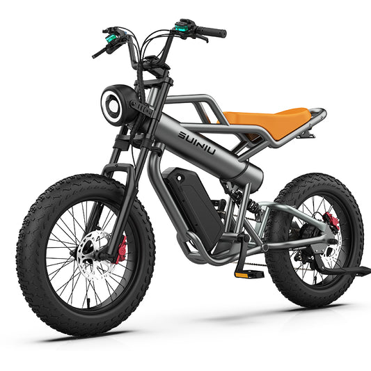 Bartali N20 Fat Tire MTB Electric Bicycle 48V 1000W Motor 20AH Dual Battery Full Suspension Electric Mountain Bike Ebike