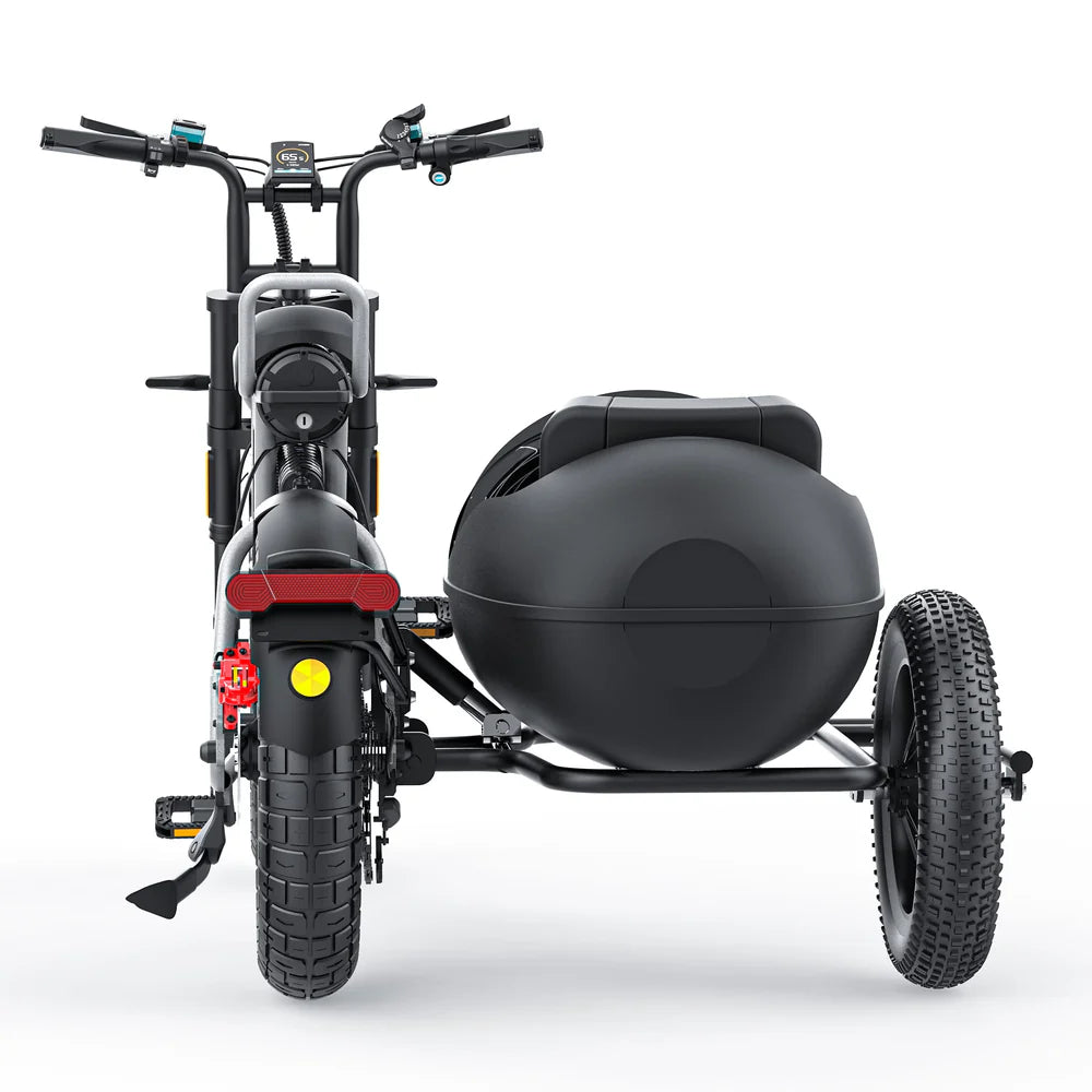 SIDECAR FOR CT20/CT20S EBIKE