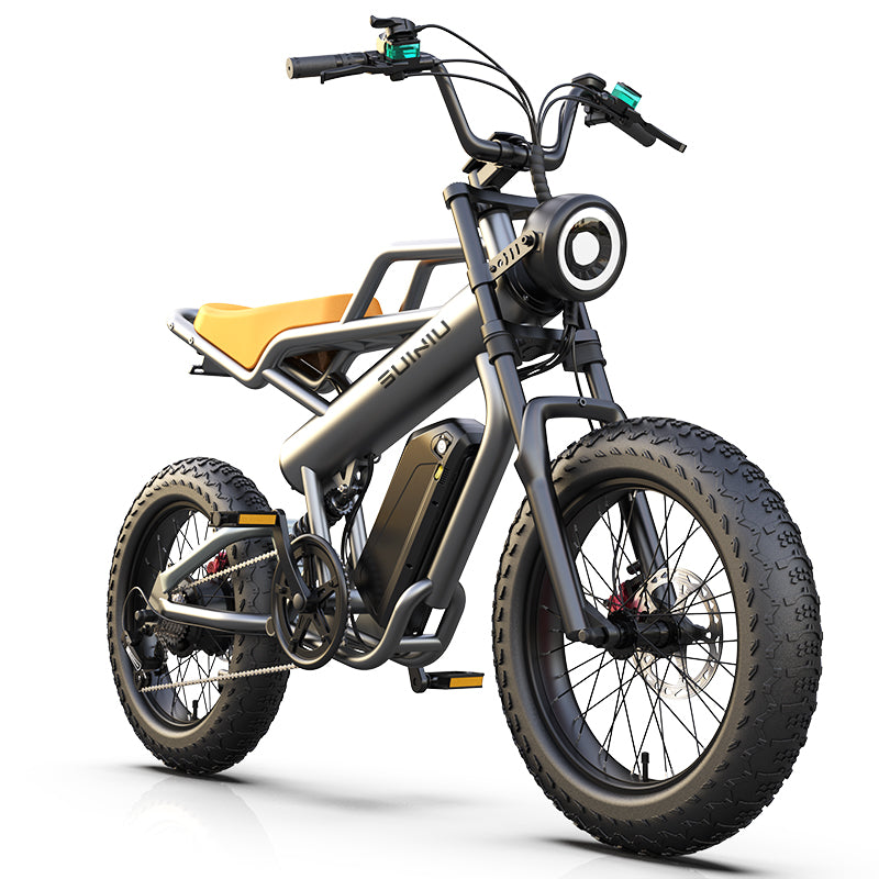 Bartali  N20 Fat Tire MTB Electric Bicycle 48V 500W Motor 20AH Dual Battery Full Suspension Electric Mountain Bike Ebike